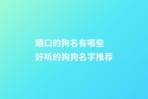 顺口的狗名有哪些 好听的狗狗名字推荐
